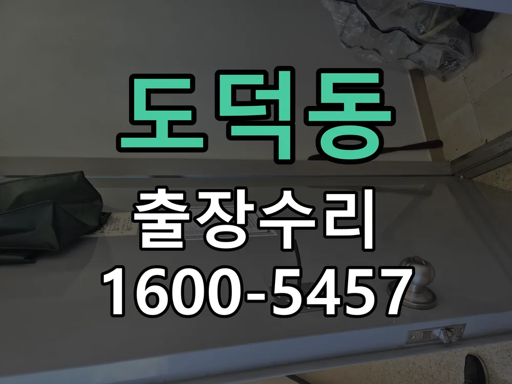 도덕동 잠금장치 동작 확인