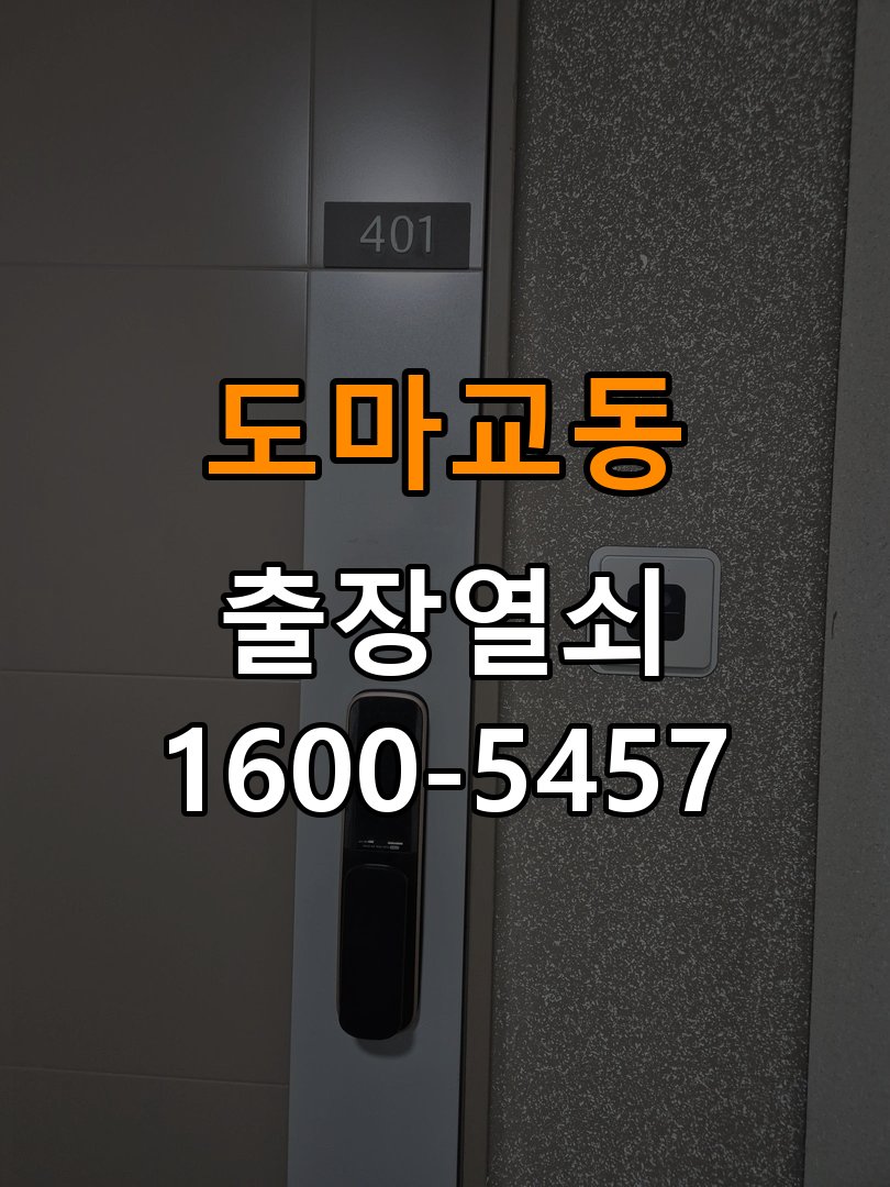 도마교동 복도식 아파트 이사 후 현관 도어락 교체 및 비번 변경 - 혼자 조작하기 전 주의사항 작업 완료 후 정상 작동 확인