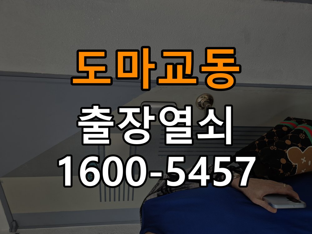 도마교동 복도식 아파트 이사 후 현관 도어락 교체 및 비번 변경 - 혼자 조작하기 전 주의사항 작업 완료 후 정상 작동 확인