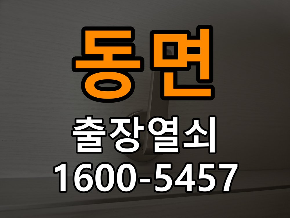 동면 현관문 보조키 열쇠 분실 키통 교체 특수 딤플키 실린더 보조키 교체 정밀 점검 및 교체