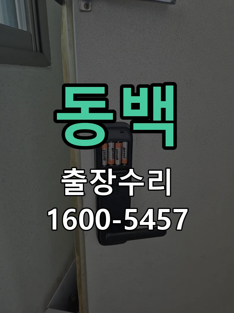동백 본체 분리 및 내부 점검