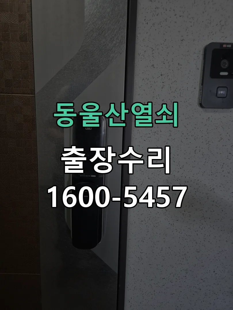 경기 도어락 열쇠 출장 수리