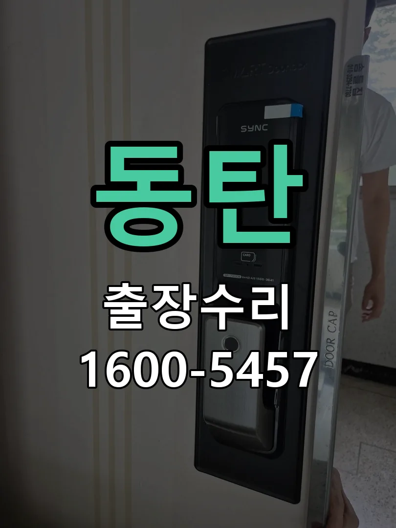 동탄 배선·접점 정리