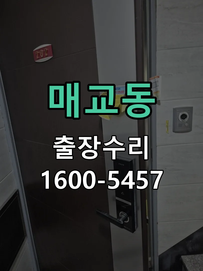 매교동 도어락 열쇠 출장 수리