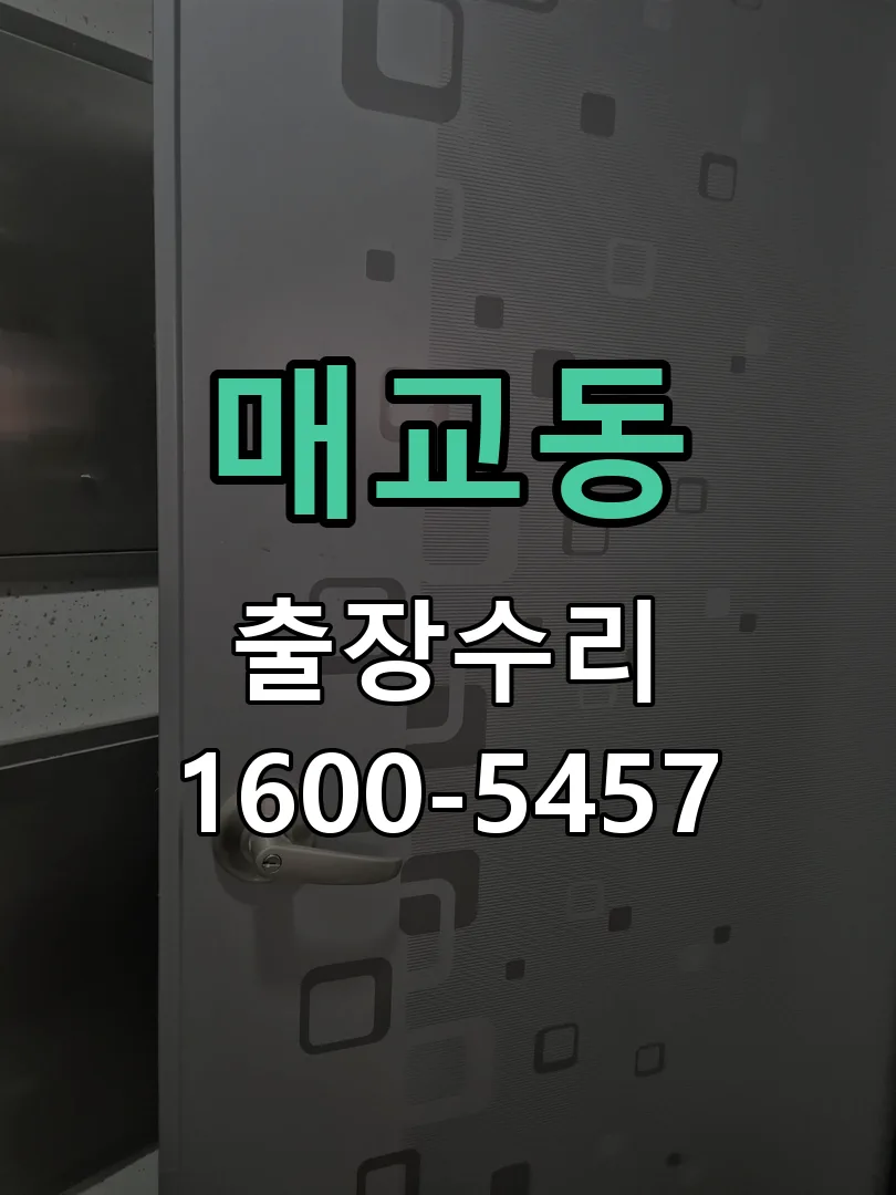 매교동 잠금장치 동작 확인