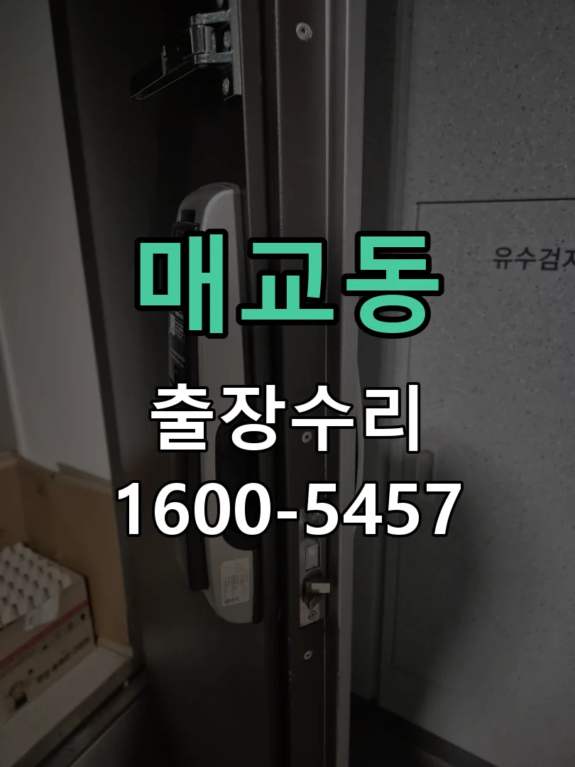 매교동 교체 작업 진행