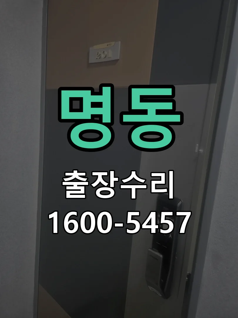 명동 배선·접점 정리