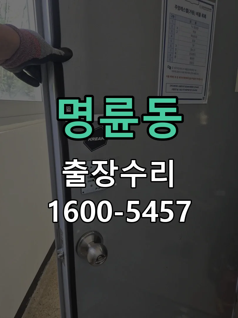 명륜동 잠금장치 동작 확인