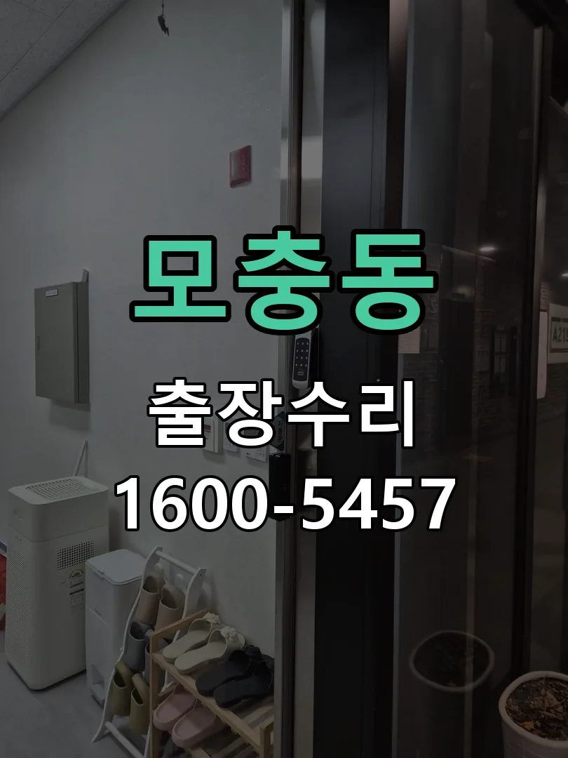 모충동 배선·접점 정리