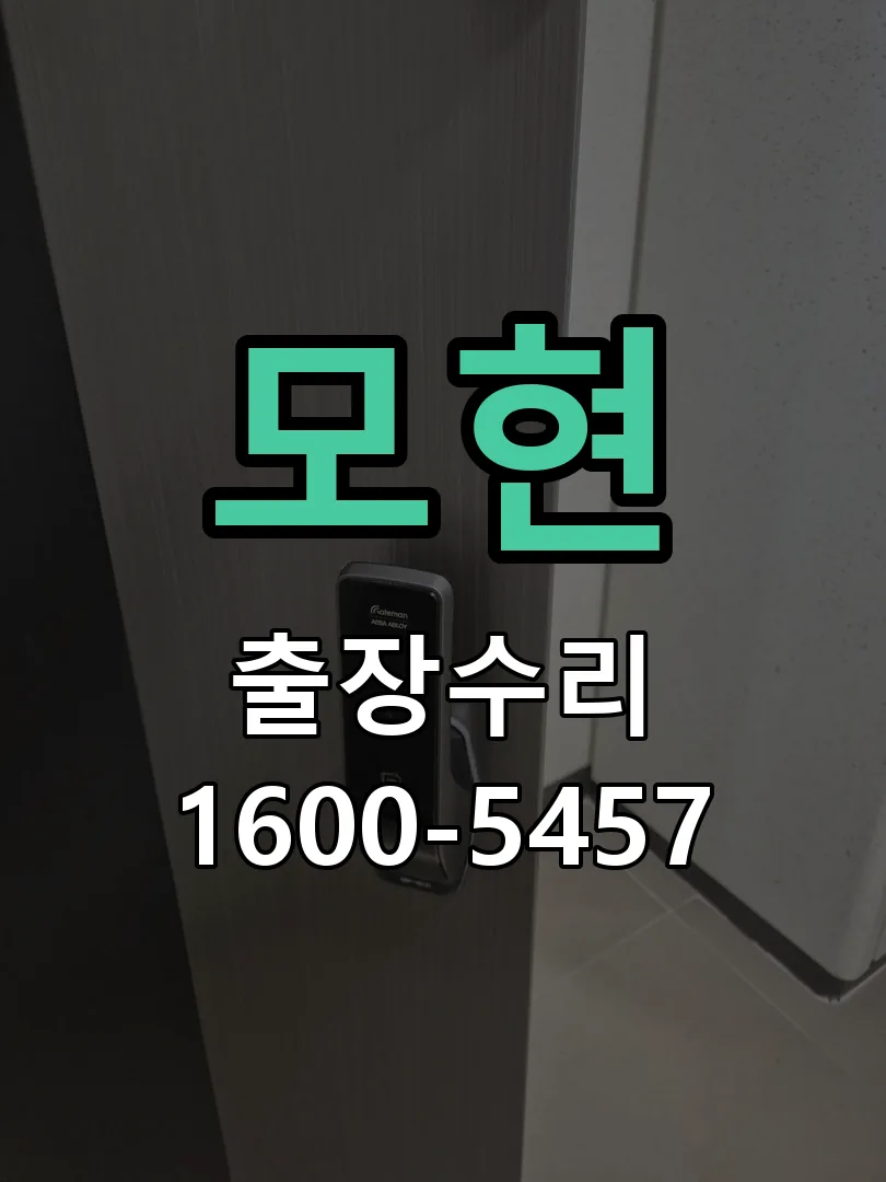 경기 도어락 열쇠 출장 수리