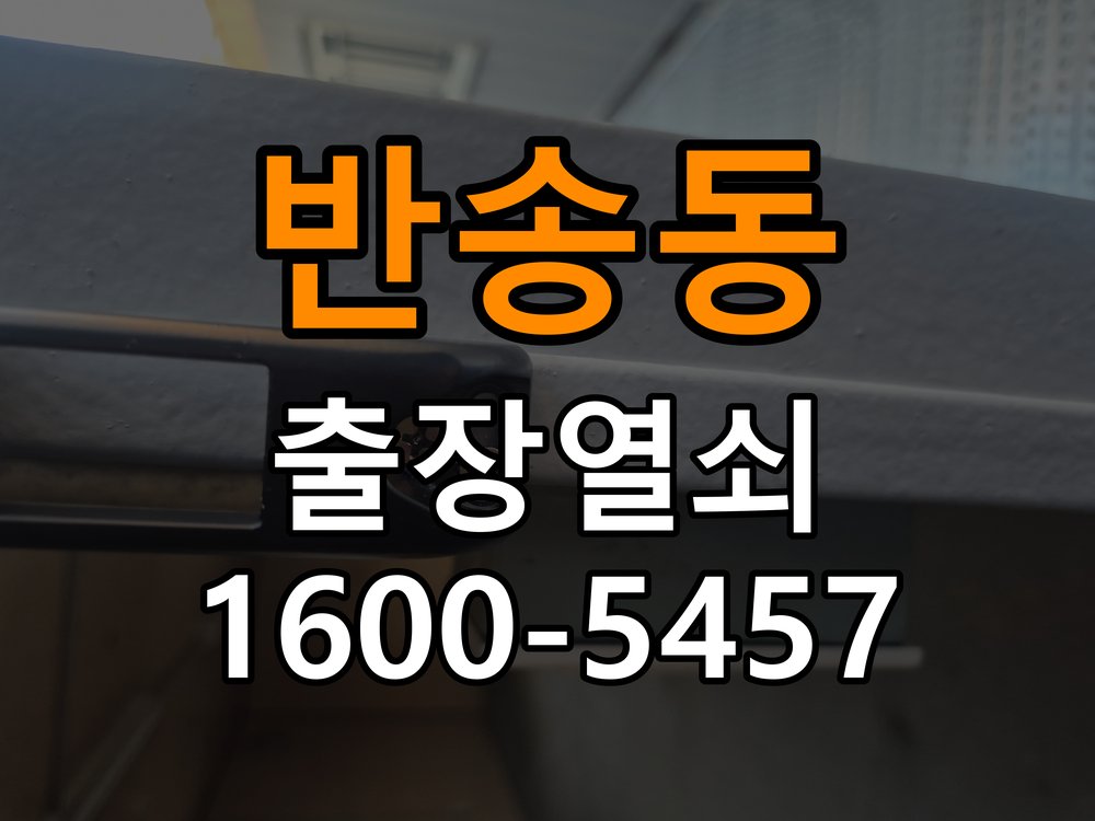 반송동 다세대주택 월세집 도어락 교체 전 확인할 설치 조건 - 설치 환경 확인방법 호환 잠금장치 정밀 점검 및 교체