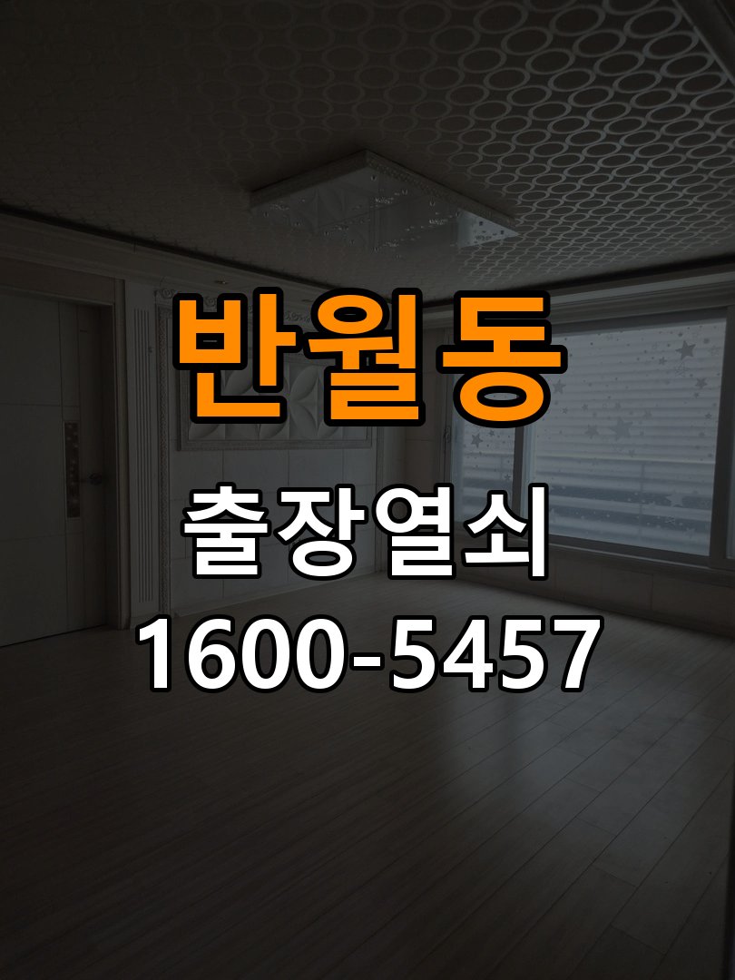 반월동 상가 기존 도어락 타공 자국을 고려한 교체 규격 확인 - 이사 전후 상태 확인 호환 잠금장치와 보강판 정밀 점검 및 교체