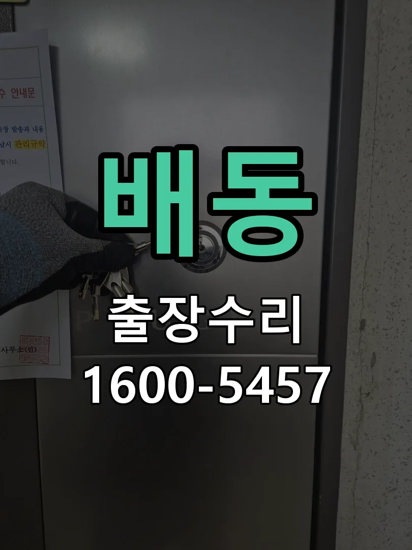 배동 현장 도착 후 상태 확인
