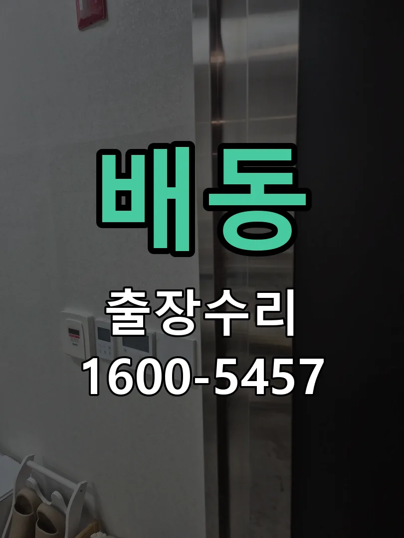 배동 잠금장치 동작 확인