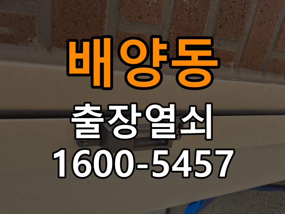 배양동 반지하 주택 두꺼운 현관문에 맞는 도어락 설치 규격 확인 - 새로 설치한 제품 이상 확인 반지하 주택 출입 공간에서 문 두께 때문에 기존 설치 부품이 맞지 않음. 이 글의 점검 목적: 장착 규격과 초기 설정, 문과 장치의 간섭 여부를 구분 현장 출장