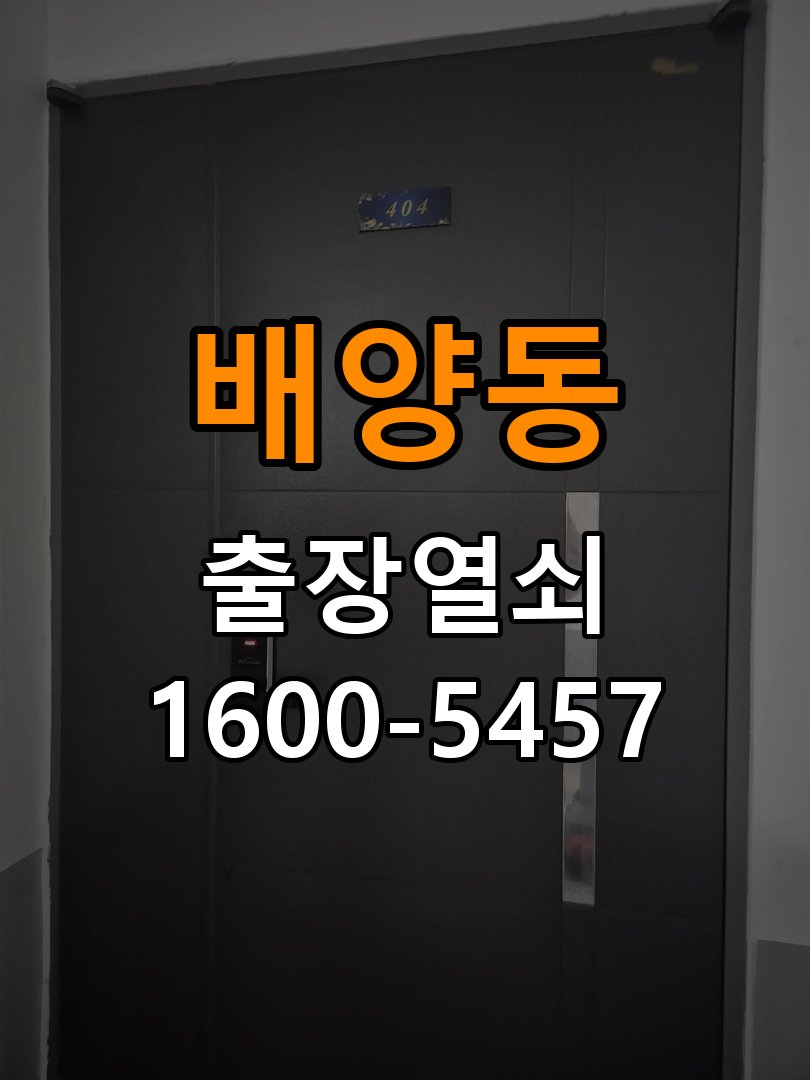 배양동 반지하 주택 두꺼운 현관문에 맞는 도어락 설치 규격 확인 - 새로 설치한 제품 이상 확인 호환 설치 부품 정밀 점검 및 교체