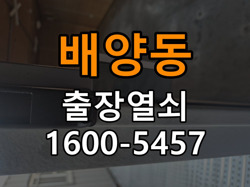 배양동 반지하 주택 두꺼운 현관문에 맞는 도어락 설치 규격 확인 - 새로 설치한 제품 이상 확인 작업 완료 후 정상 작동 확인