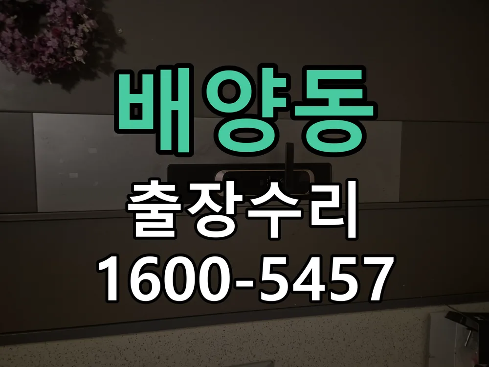 배양동 도어락 열쇠 출장 수리