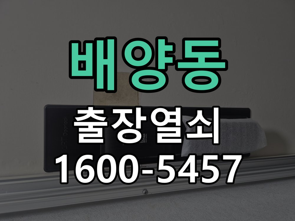 배양동 사무실 유리문 번호키 자동수동 모드 설정 손님이 올 때마다 문이 자동잠김되어 수동 모드로 변경 요청 현장 출장