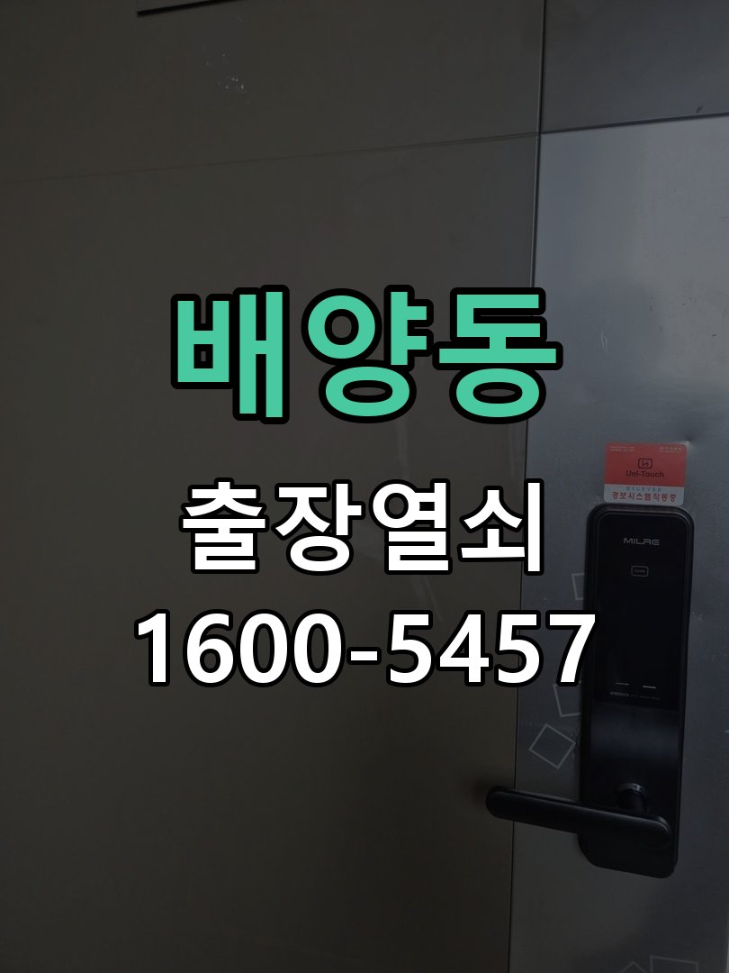 배양동 사무실 유리문 번호키 자동수동 모드 설정 상가 강화유리문 전용 도어락 모드 재설정 및 사용자 교육 정밀 점검 및 교체
