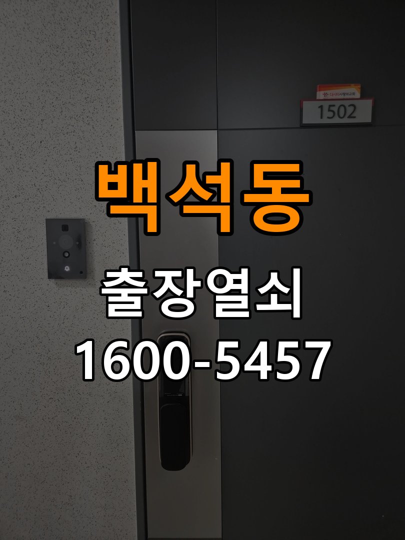 백석동 보조키 특수키 안전고리 추가 설치 도어락 외에 추가적인 이중 보안 잠금장치 필요 현장 출장