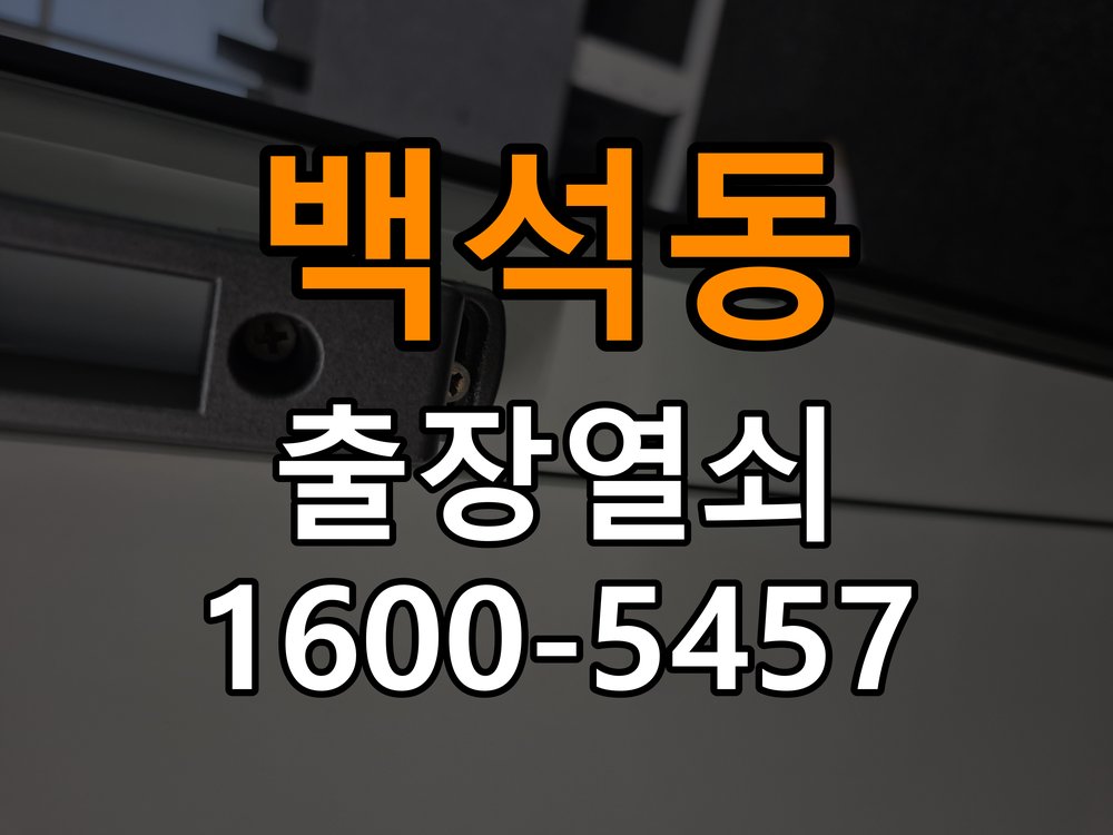 백석동 보조키 특수키 안전고리 추가 설치 특수 핀 실린더 보조키 및 빗장형 고급 안전고리 정밀 점검 및 교체