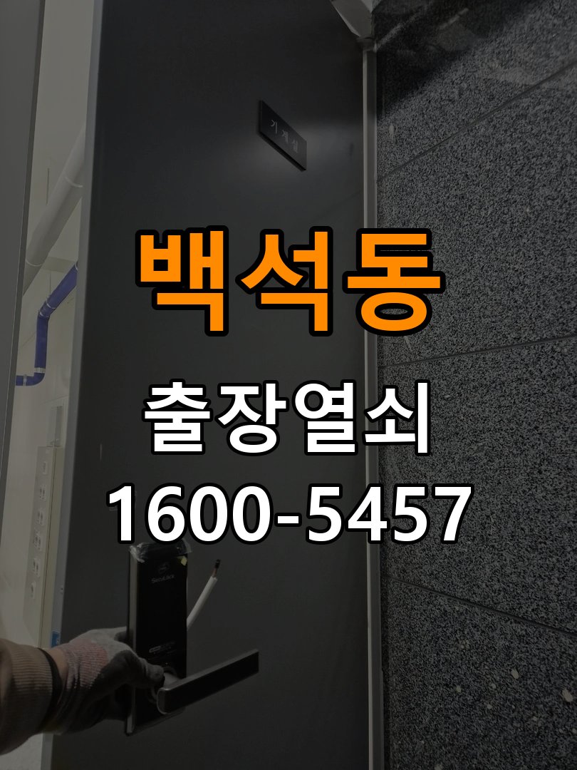 백석동 보조키 특수키 안전고리 추가 설치 작업 완료 후 정상 작동 확인