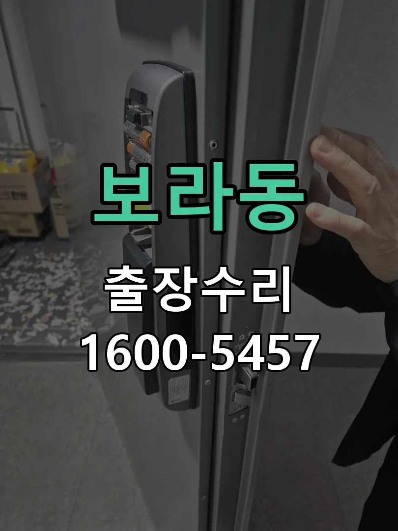 보라동 배선·접점 정리