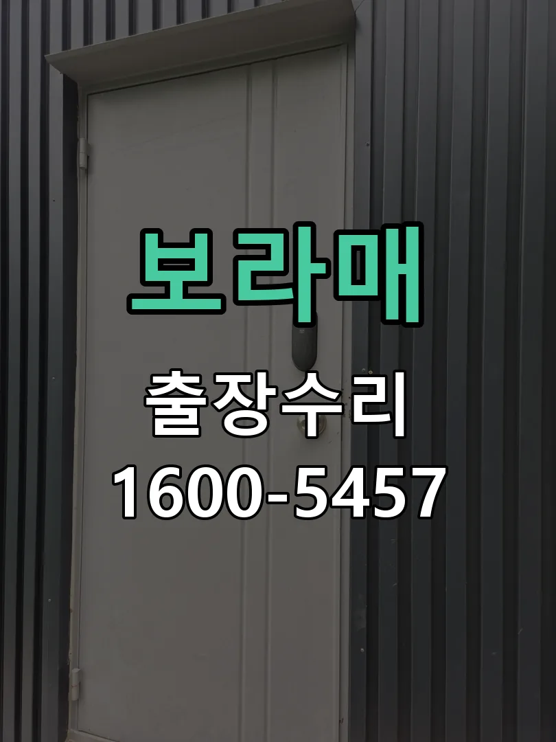 경기 도어락 열쇠 출장 수리