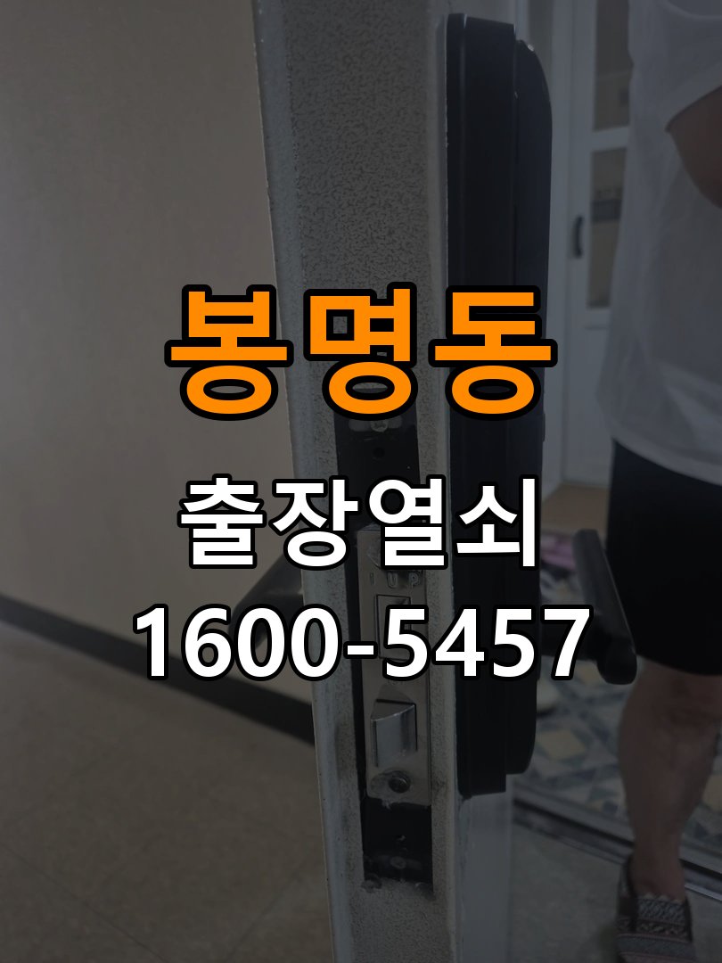 봉명동 보조키 특수키 안전고리 추가 설치 도어락 외에 추가적인 이중 보안 잠금장치 필요 현장 출장