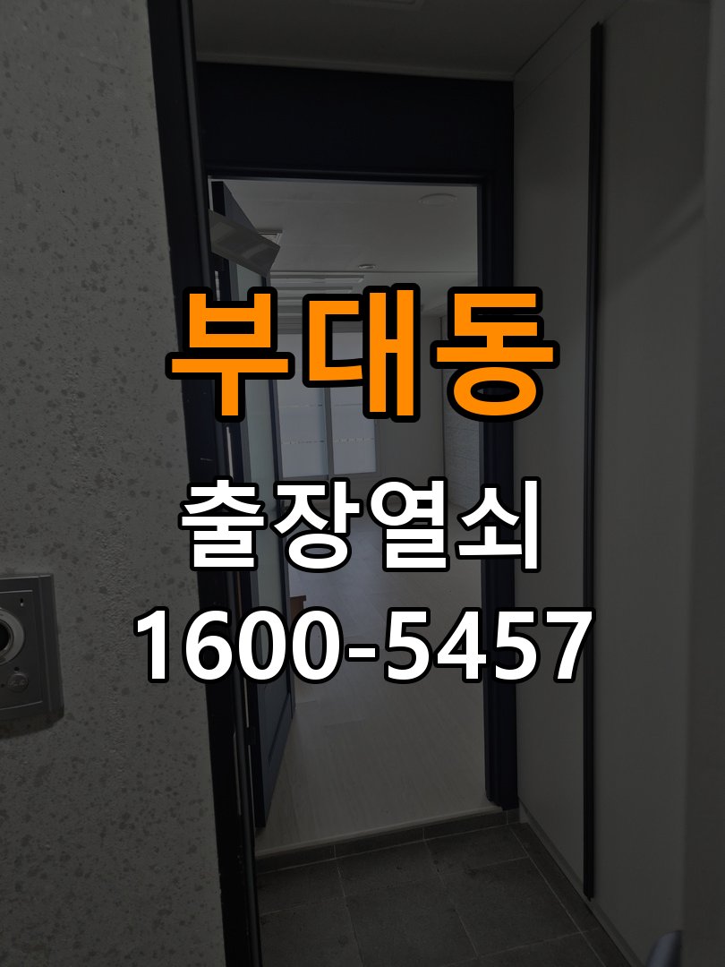 부대동 현관문 보조키 열쇠 분실 키통 교체 특수 딤플키 실린더 보조키 교체 정밀 점검 및 교체