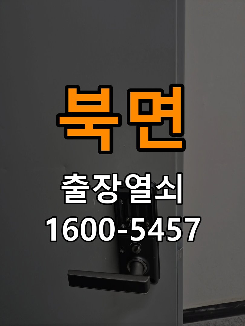 북면 보조키 특수키 안전고리 추가 설치 특수 핀 실린더 보조키 및 빗장형 고급 안전고리 정밀 점검 및 교체
