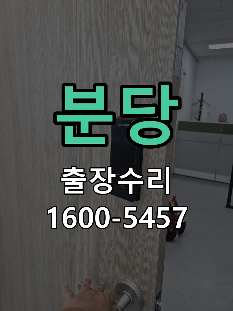 분당 배선·접점 정리