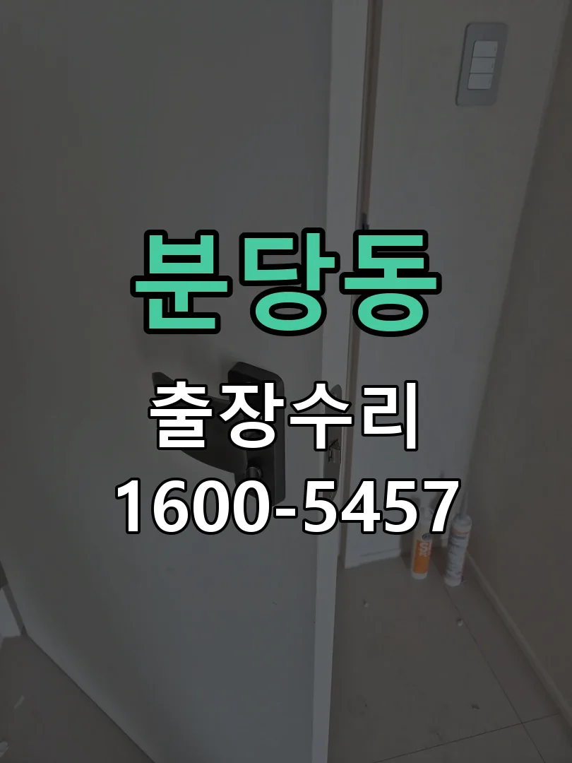 분당동 도어락 열쇠 출장 수리