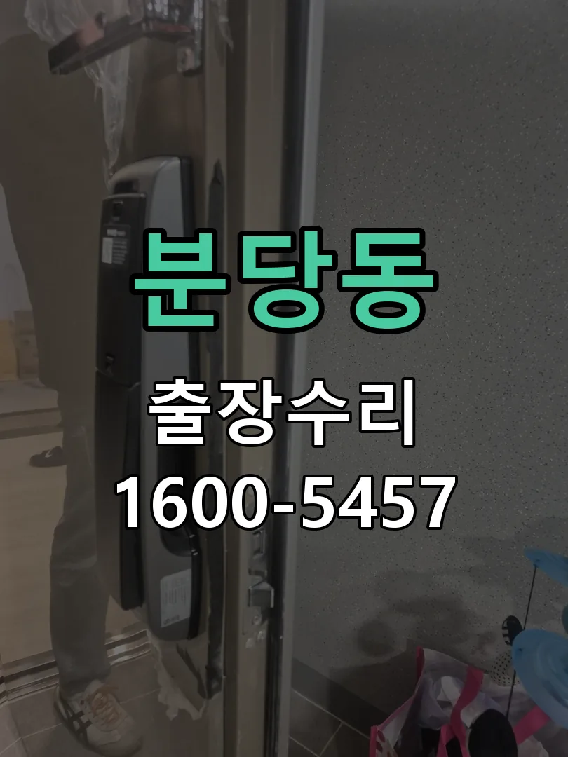 분당동 잠금장치 동작 확인