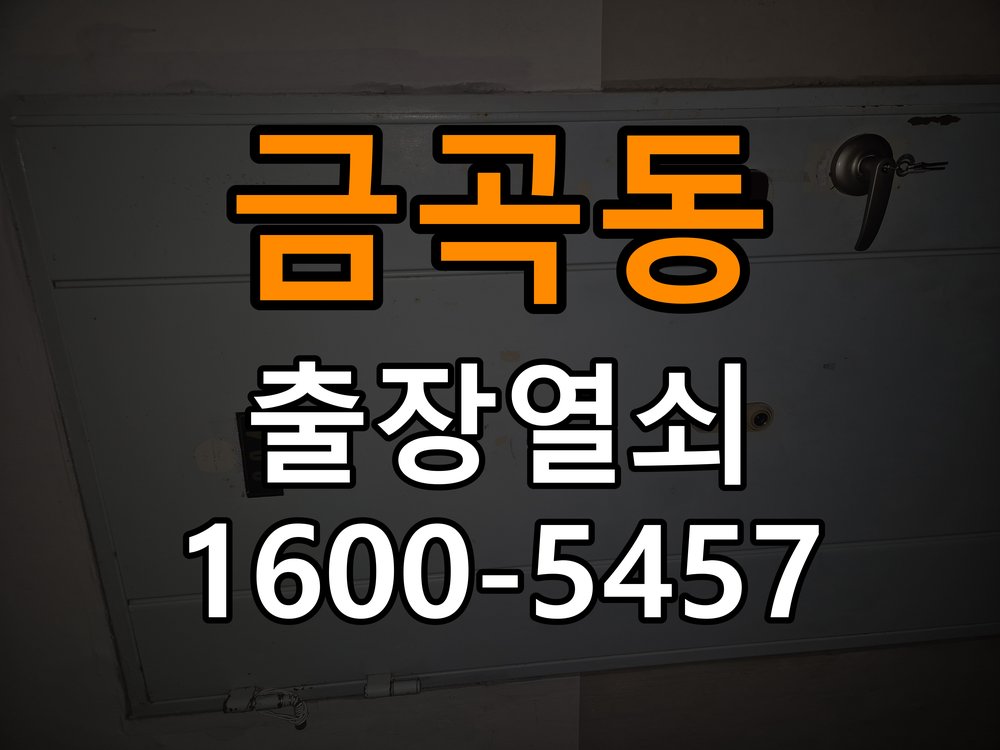 분당열쇠 반지하 주택 푸시풀 도어락 손잡이 복귀 불량 점검 가이드 참고 사진 1