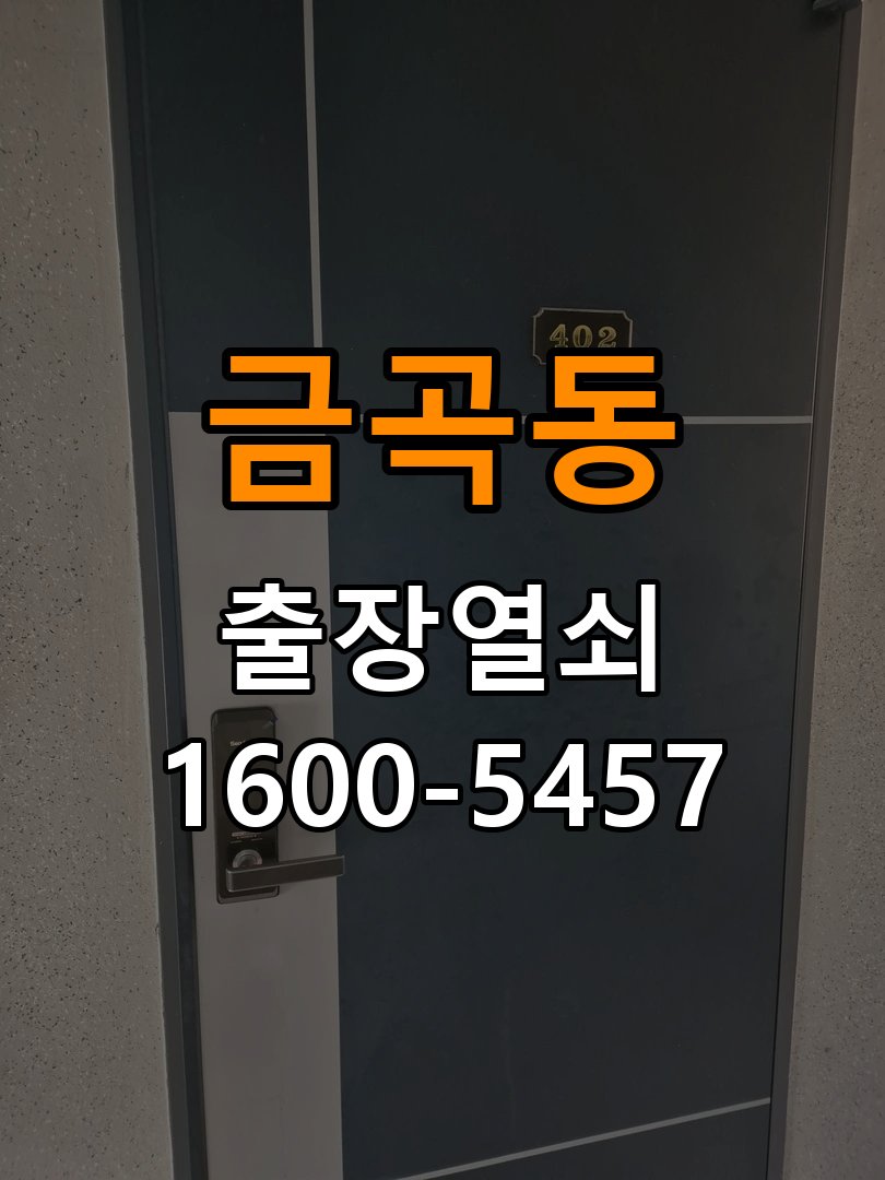 분당열쇠 반지하 주택 푸시풀 도어락 손잡이 복귀 불량 점검 가이드 참고 사진 3
