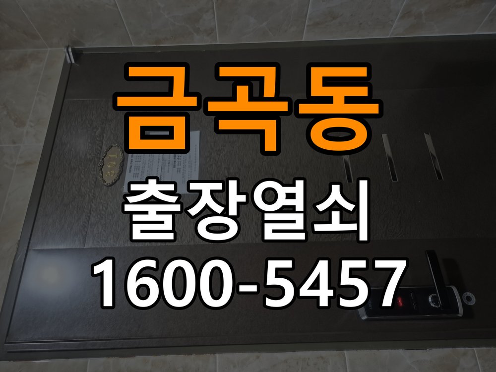 분당열쇠 반지하 주택 푸시풀 도어락 손잡이 복귀 불량 점검 가이드 참고 사진 4