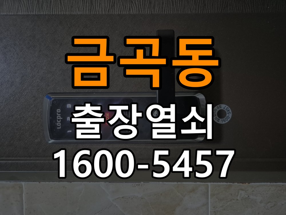 분당열쇠 반지하 주택 푸시풀 도어락 손잡이 복귀 불량 점검 가이드 참고 사진 5