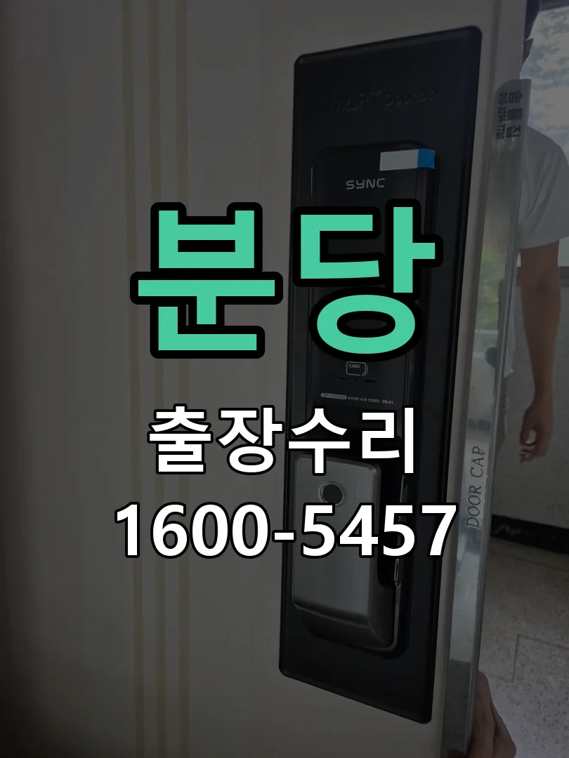 분당 배선·접점 정리