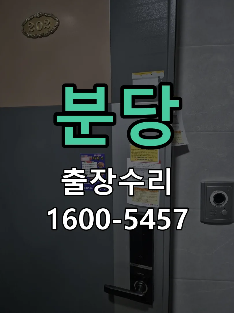분당 배선·접점 정리