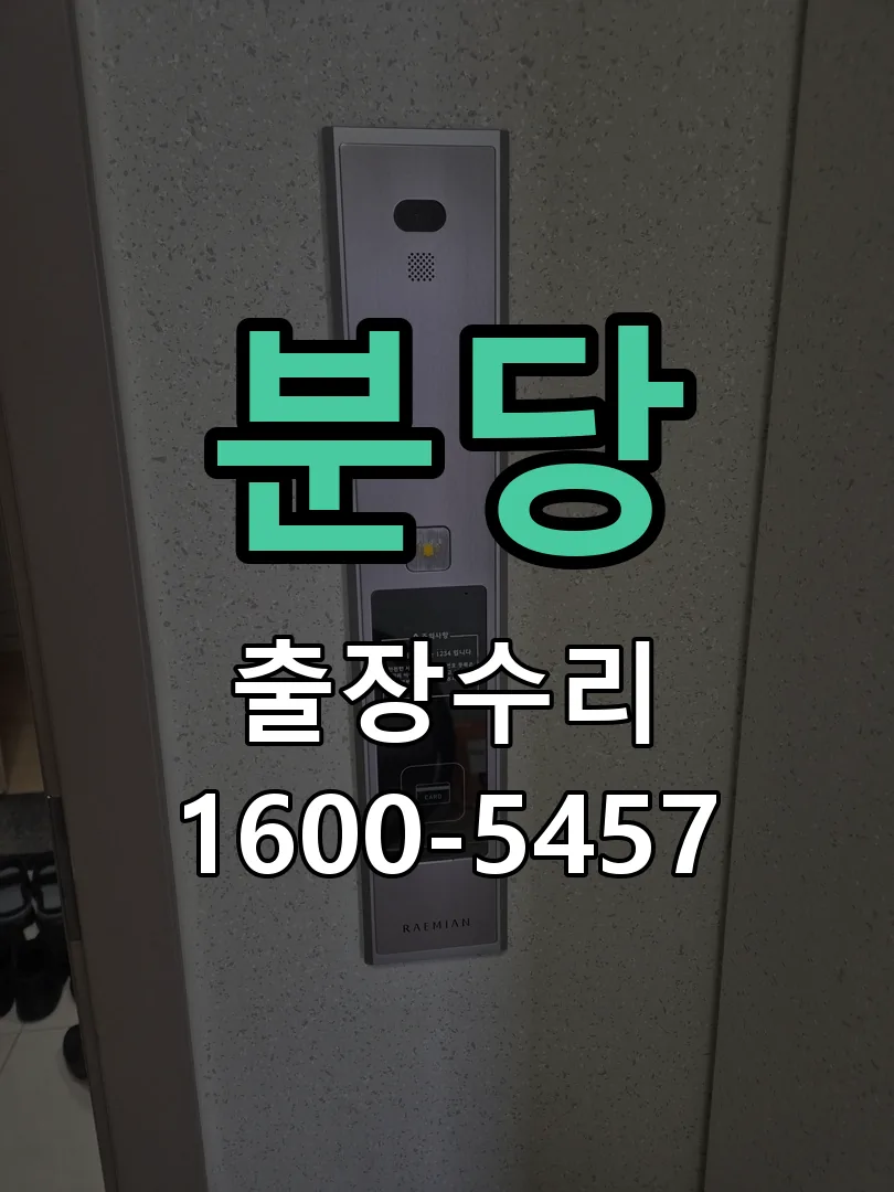 분당 배선·접점 정리