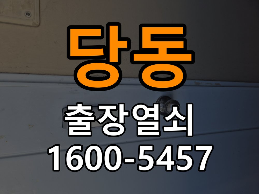 당동 창고 대문 개폐기 열쇠 고장 교체 주택 대문 개폐기 버튼을 눌러도 문이 열리지 않고 걸림 현장 출장