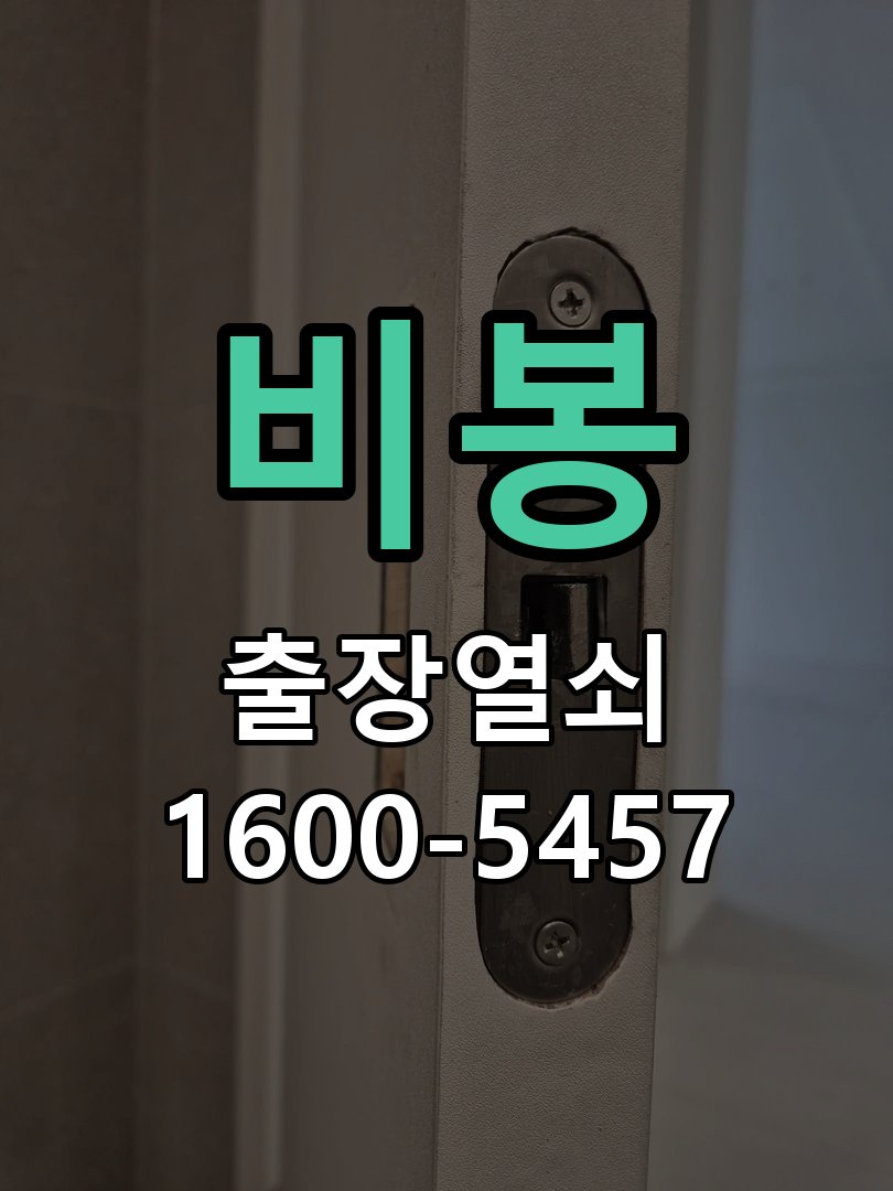 비봉 현관문 처짐 도어클로저 닫힘 속도 조절 K250 규격 유압식 방화문 도어체크 교체 정밀 점검 및 교체