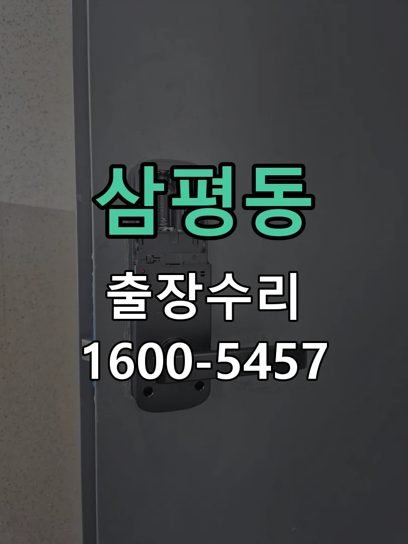 삼평동 도어락 열쇠 출장 수리