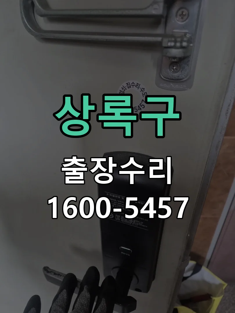 경기 도어락 열쇠 출장 수리