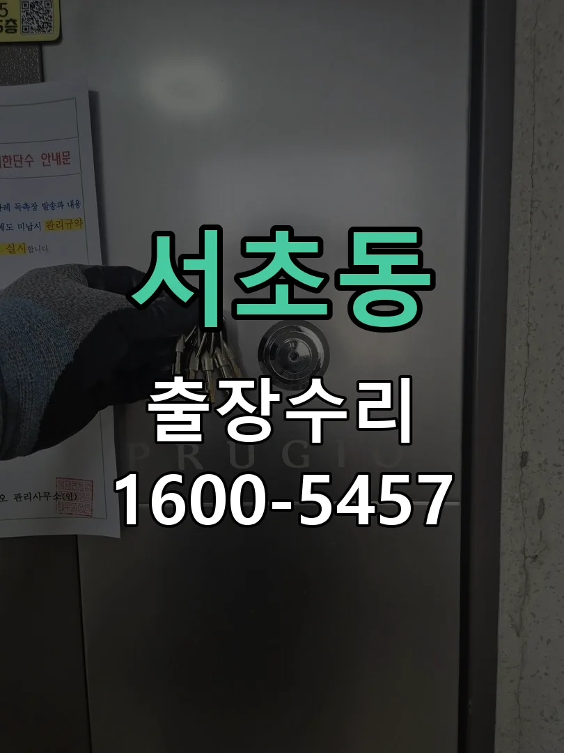 서초동 배선·접점 정리