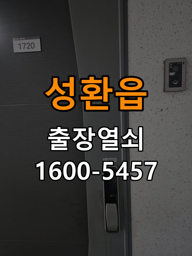 성환읍 열쇠 부러짐 키 실린더 교체 정밀 핀 실린더 뭉치 및 열쇠 3개 세트 정밀 점검 및 교체