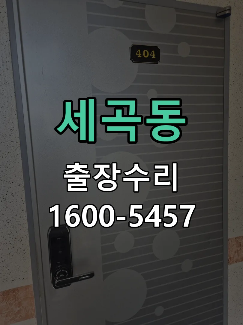 세곡동 잠금장치 동작 확인