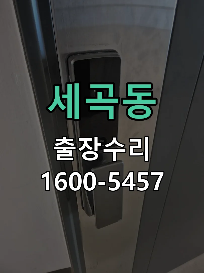 세곡동 배선·접점 정리